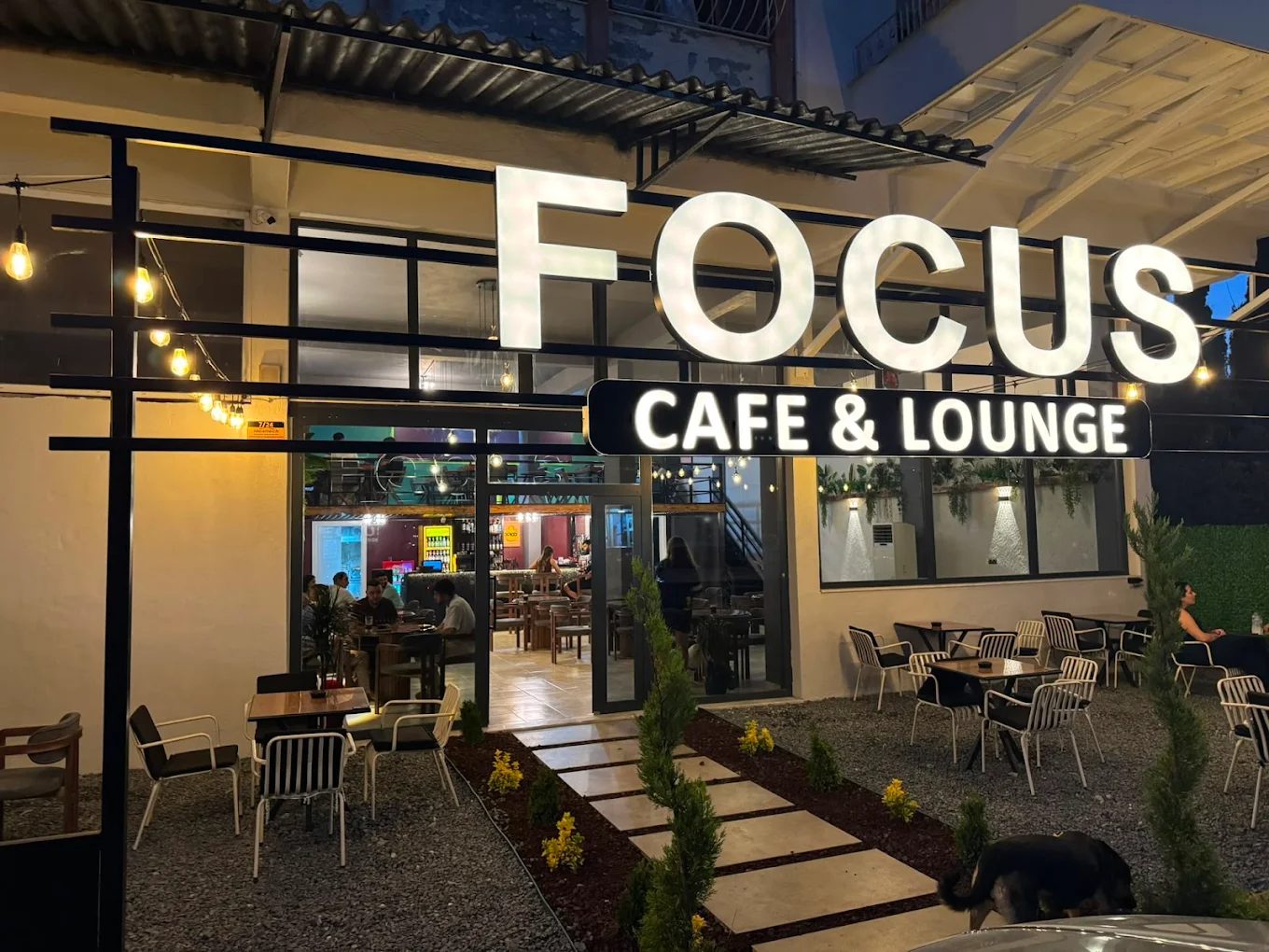 Focus Cafe & Lounge