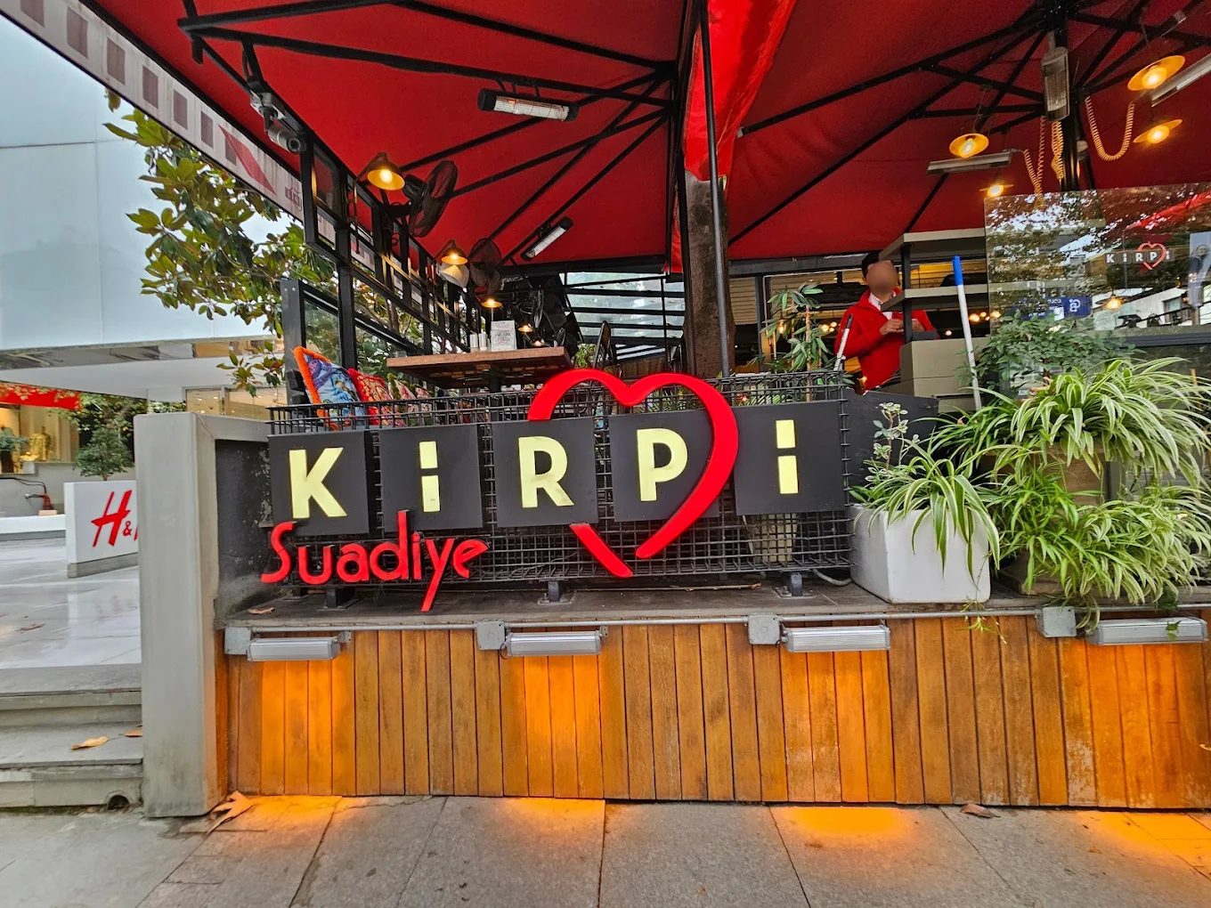 Kirpi - Suadiye